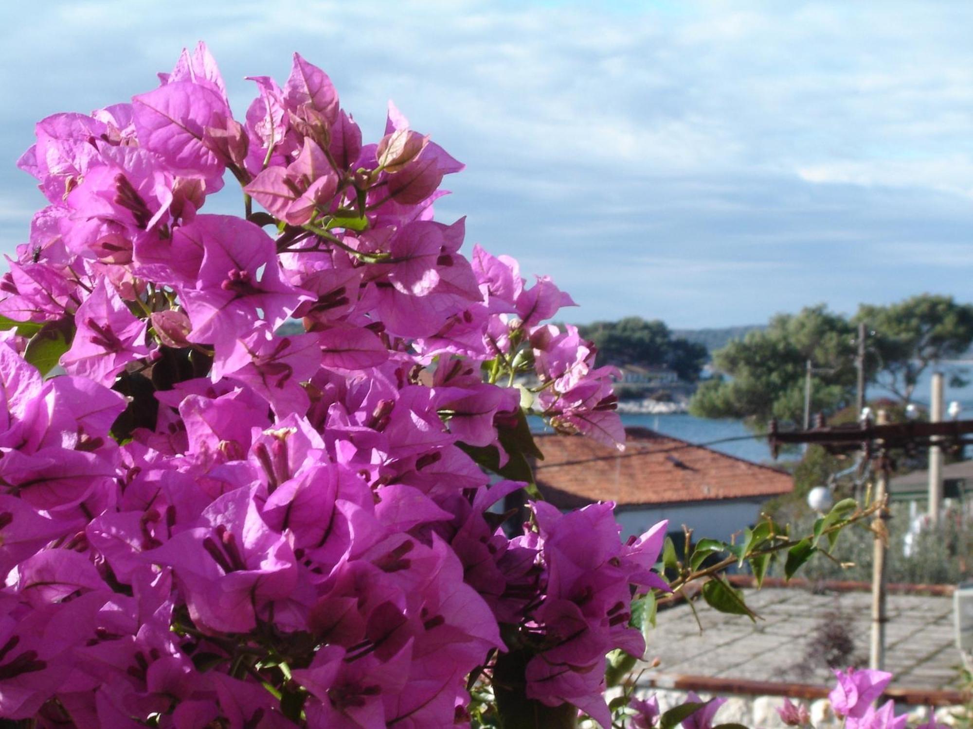 Apartmani Luna Hvar Town Luaran gambar
