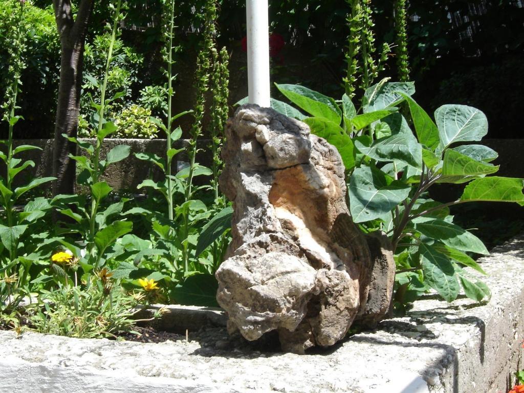 Apartmani Luna Hvar Town Luaran gambar