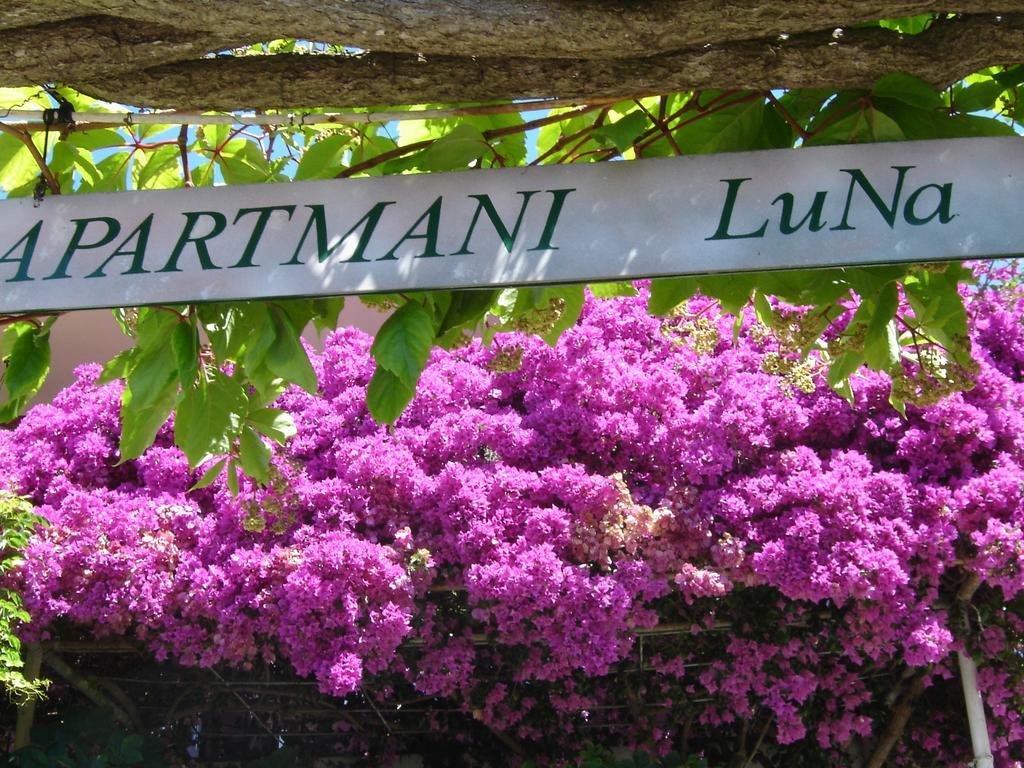 Apartmani Luna Hvar Town Luaran gambar